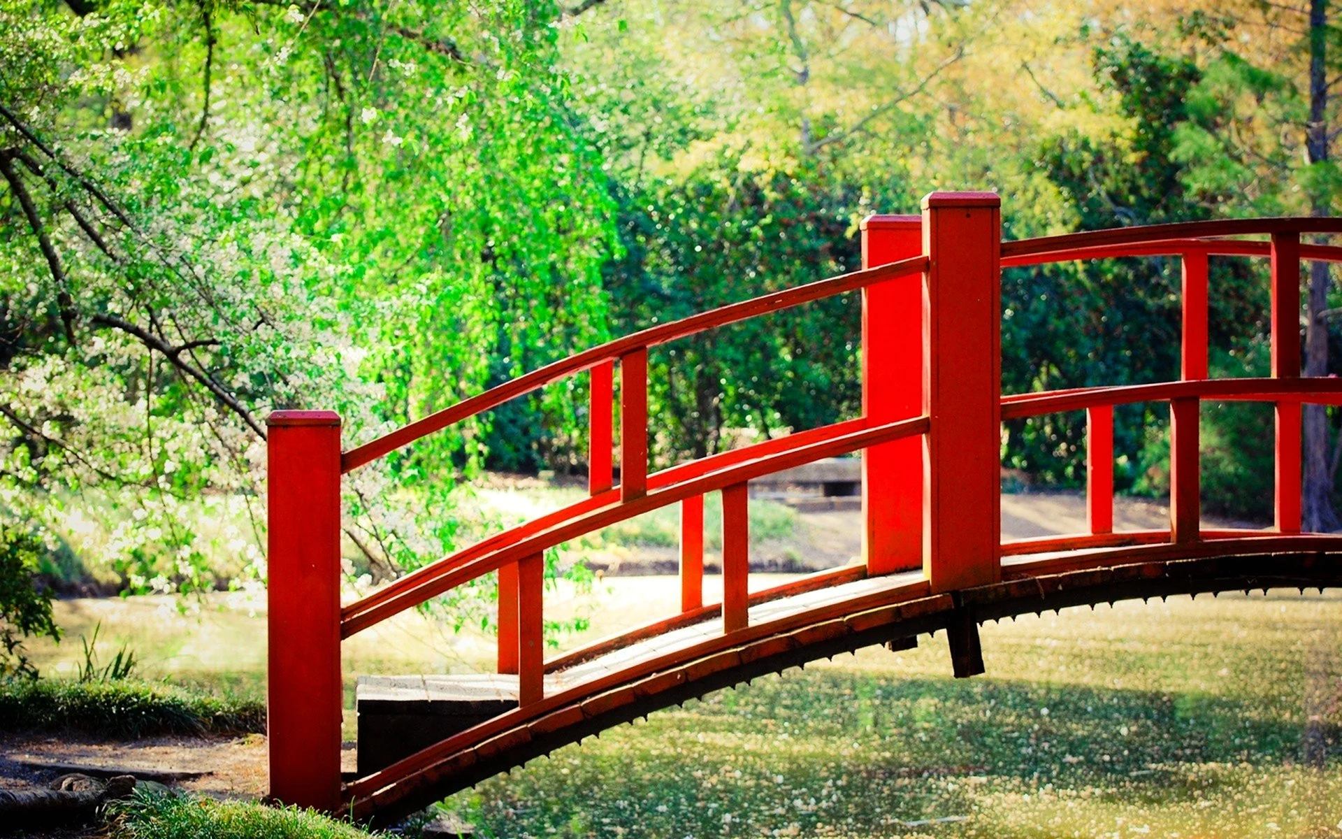 Деревянные мостки в японском саду