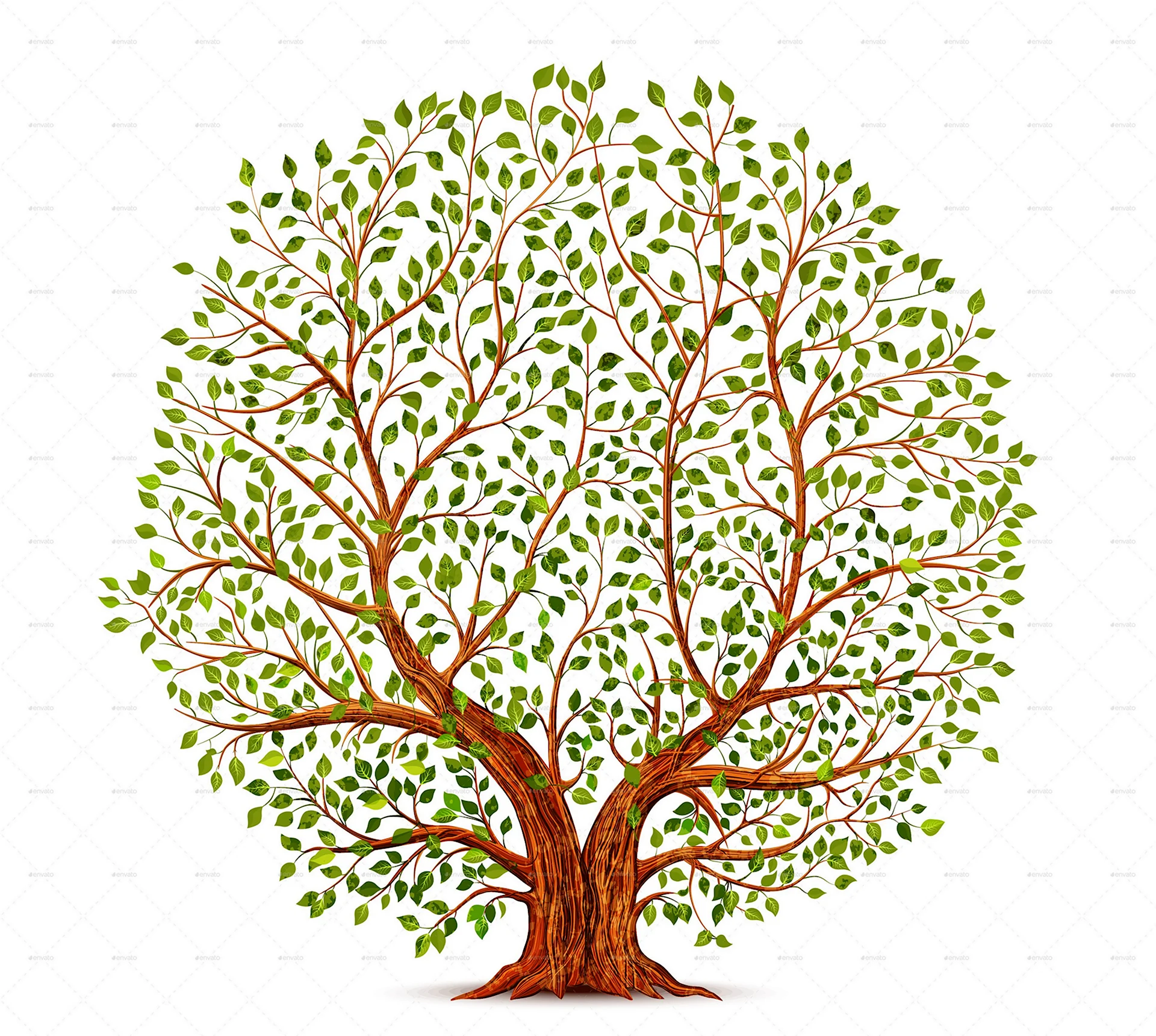Дерево для родословной на белом фоне