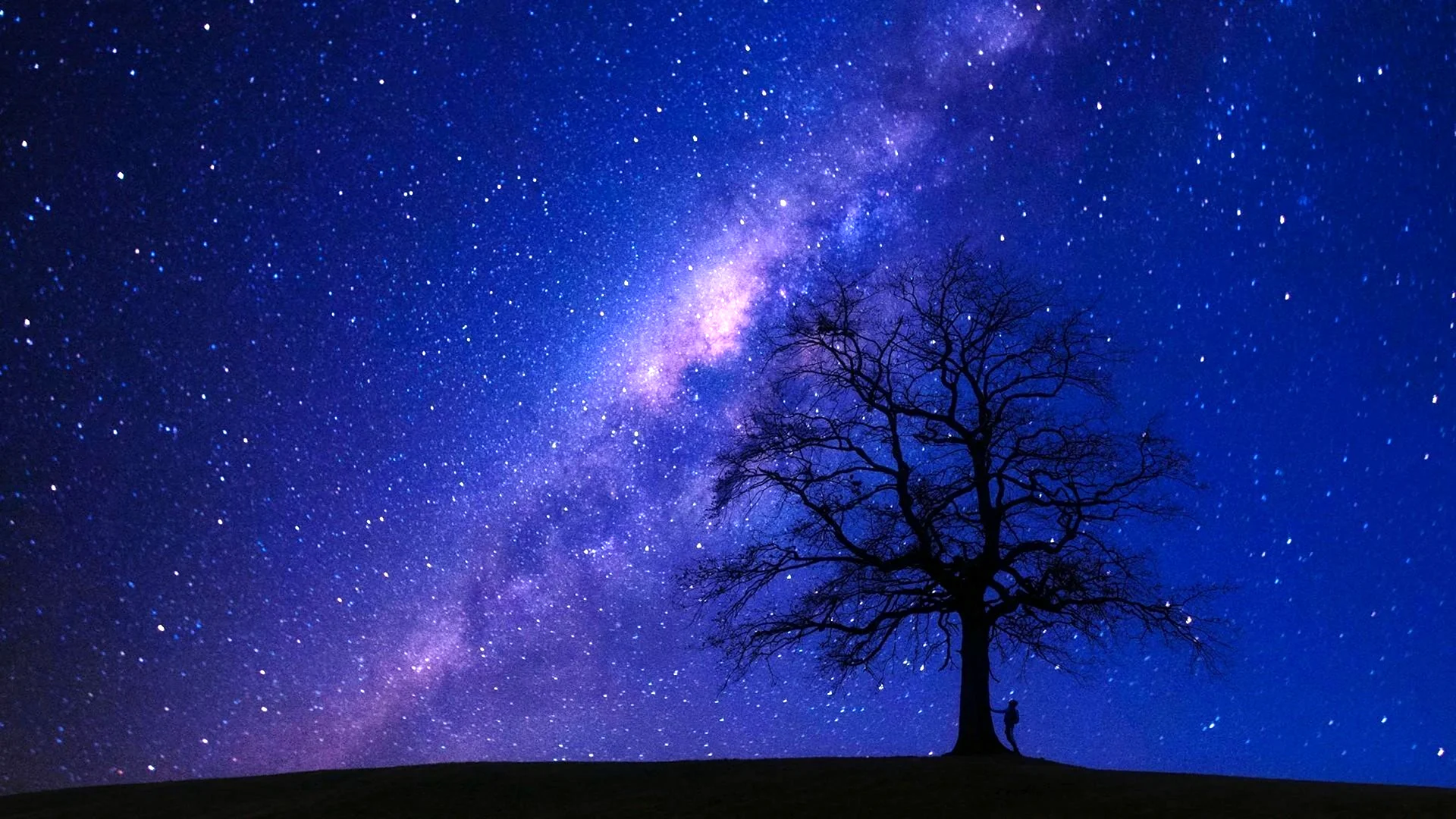 Дерево и звезды