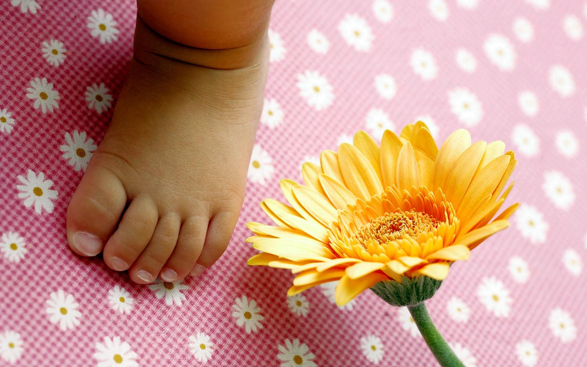 Детские ножки и цветы