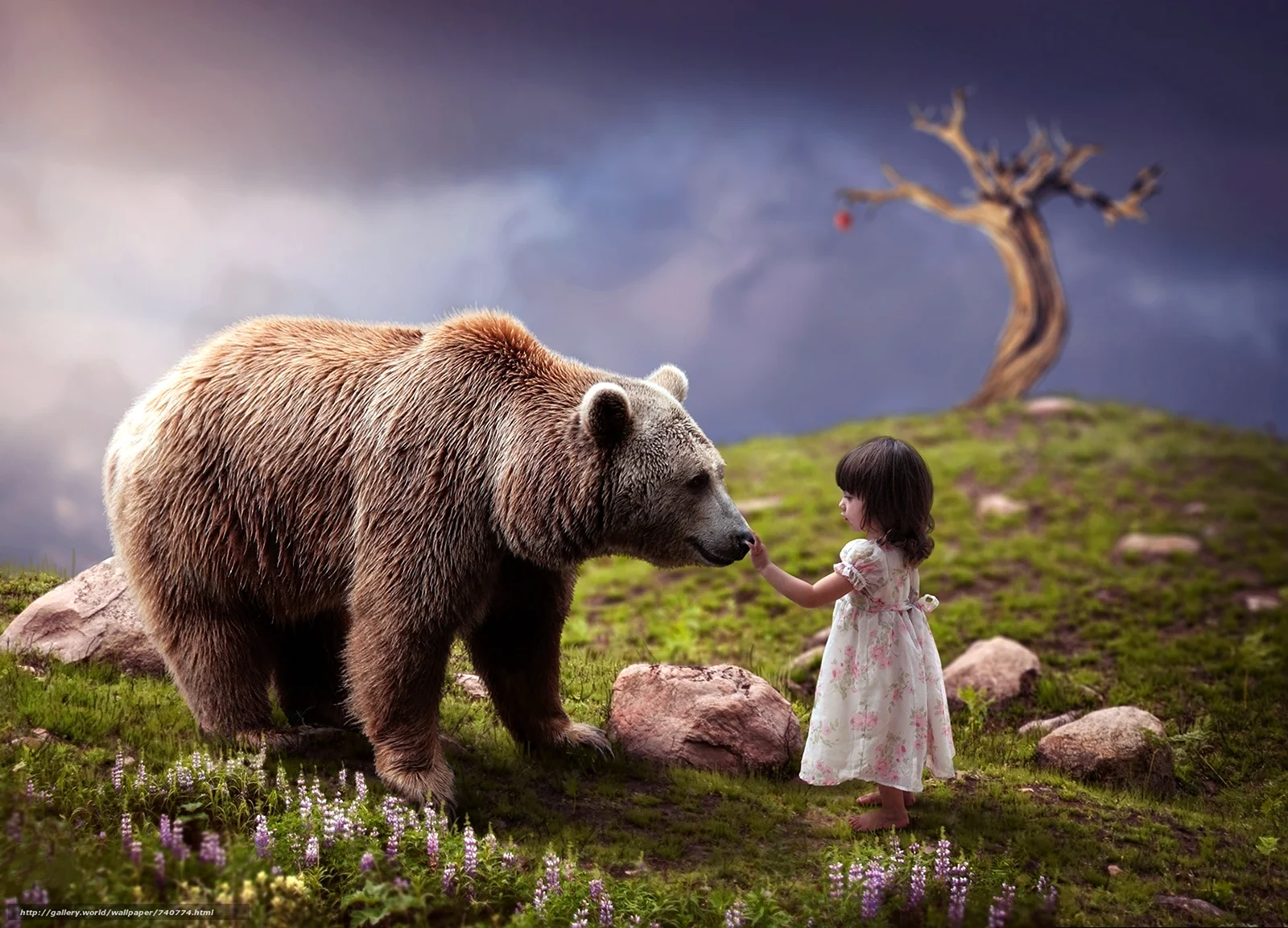 Девочка и медведь
