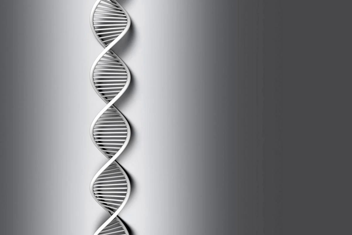 ДНК на сером фоне