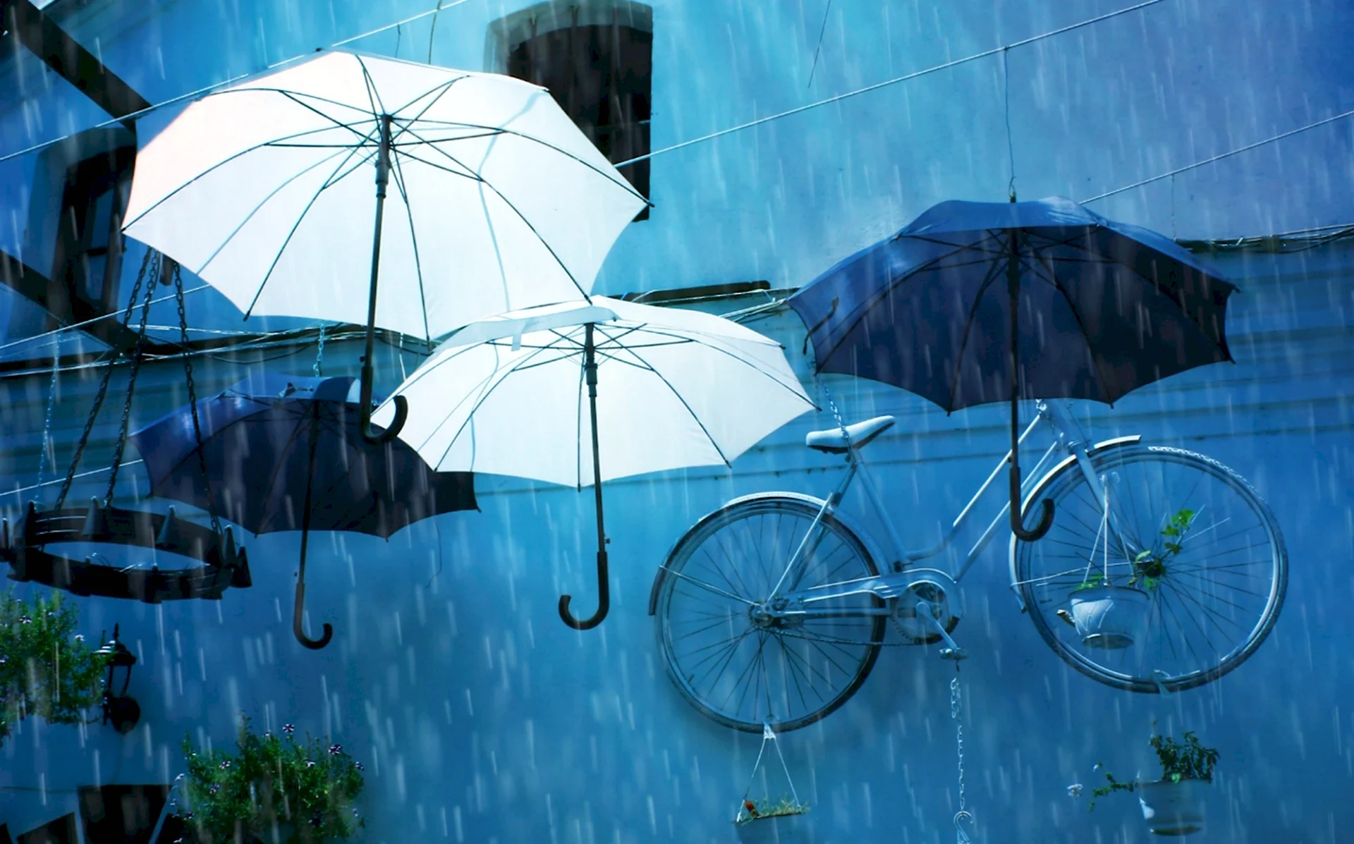 Дождь зонт