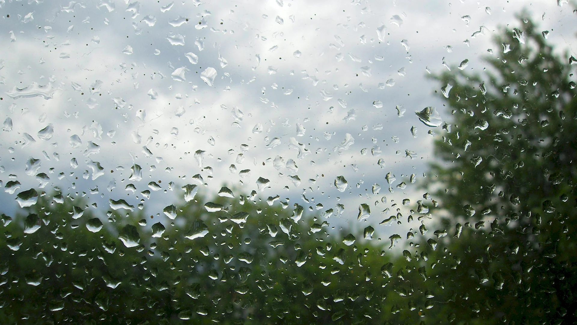 Дождливое лето
