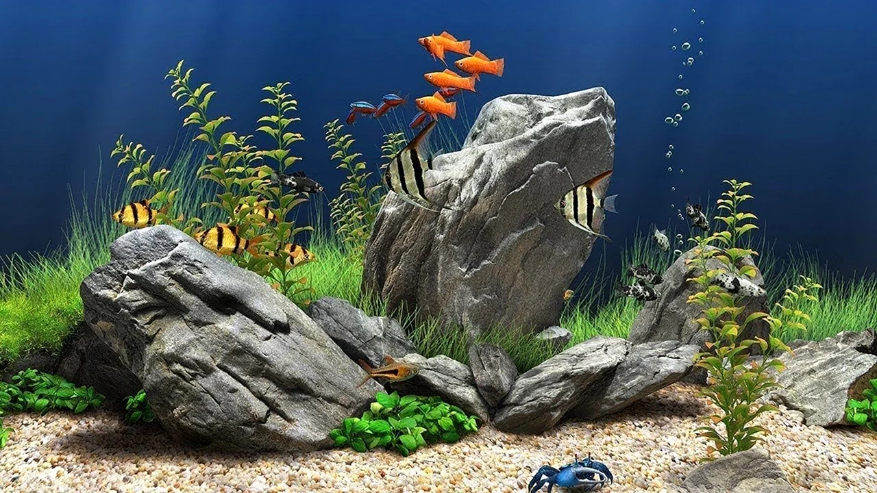 Dream Aquarium игра