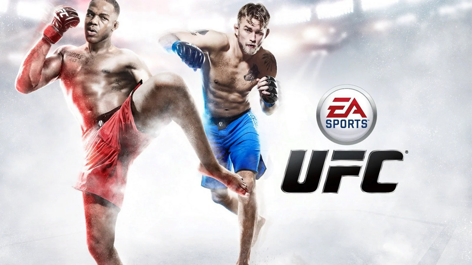 EA Sports UFC 2014 Постер игры