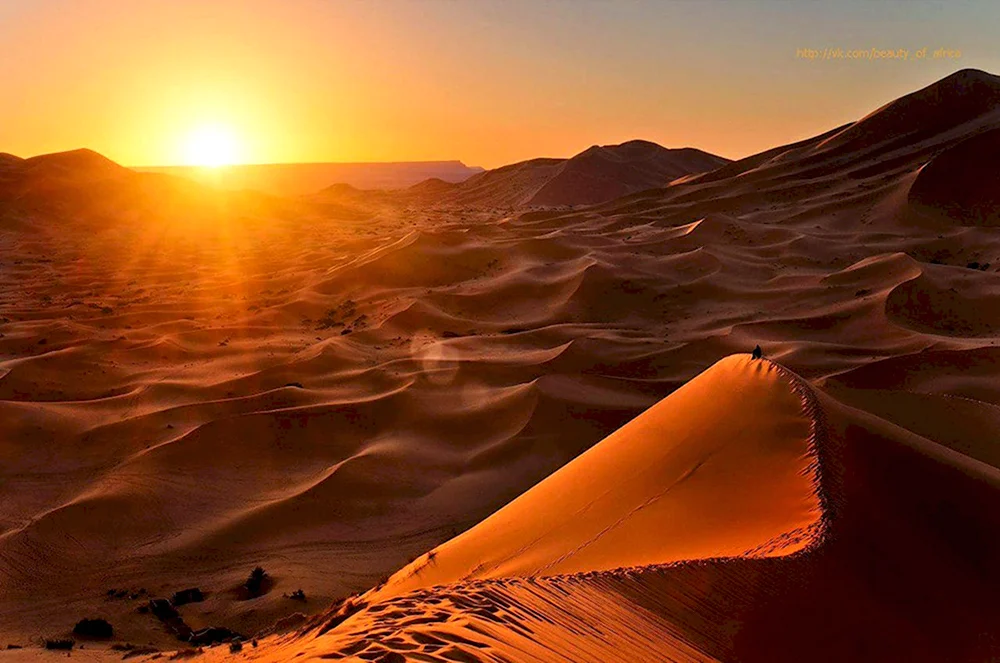 Египет пустыня