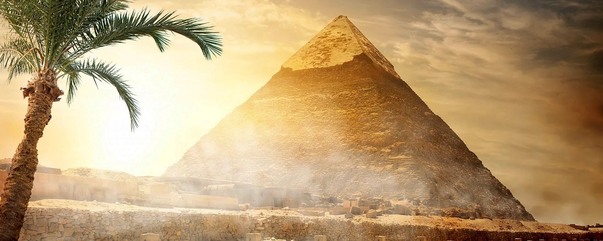Египет сфинкс пирамиды пальмы