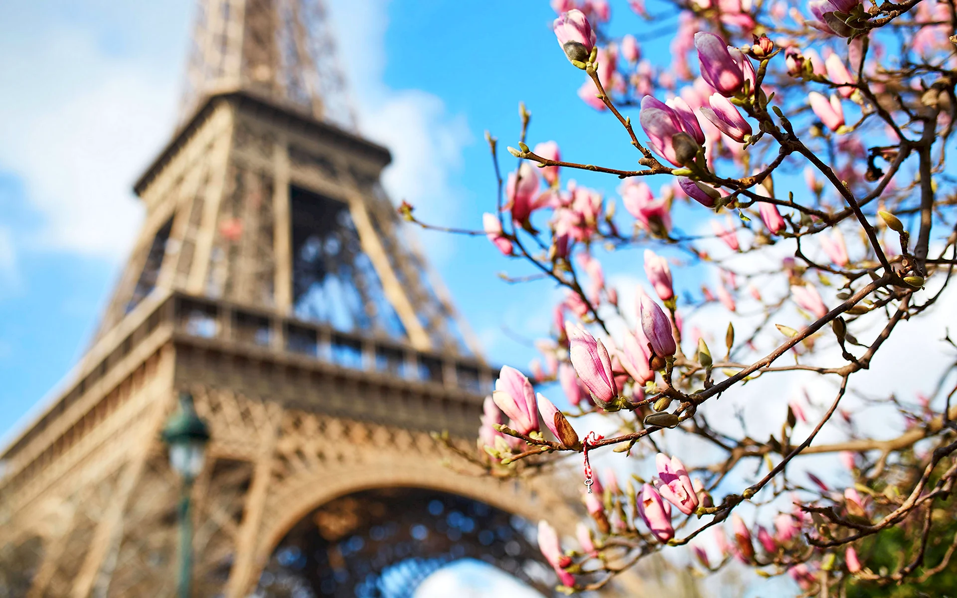 Эйфелева башня Париж Весна