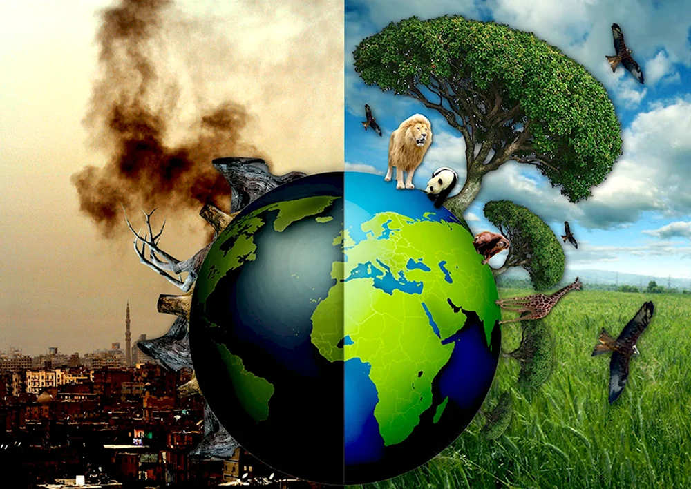 Экология и окружающая среда на английском
