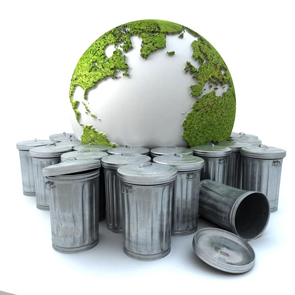 Экология мусор