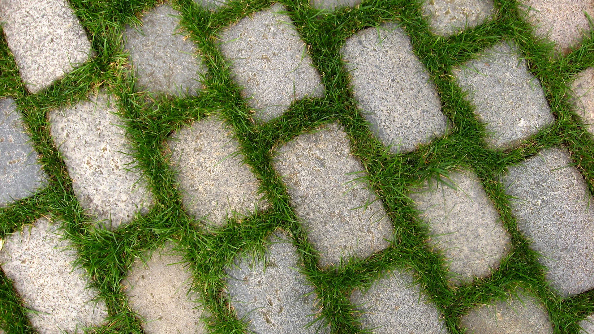 Экопарковка газонная решетка текстура
