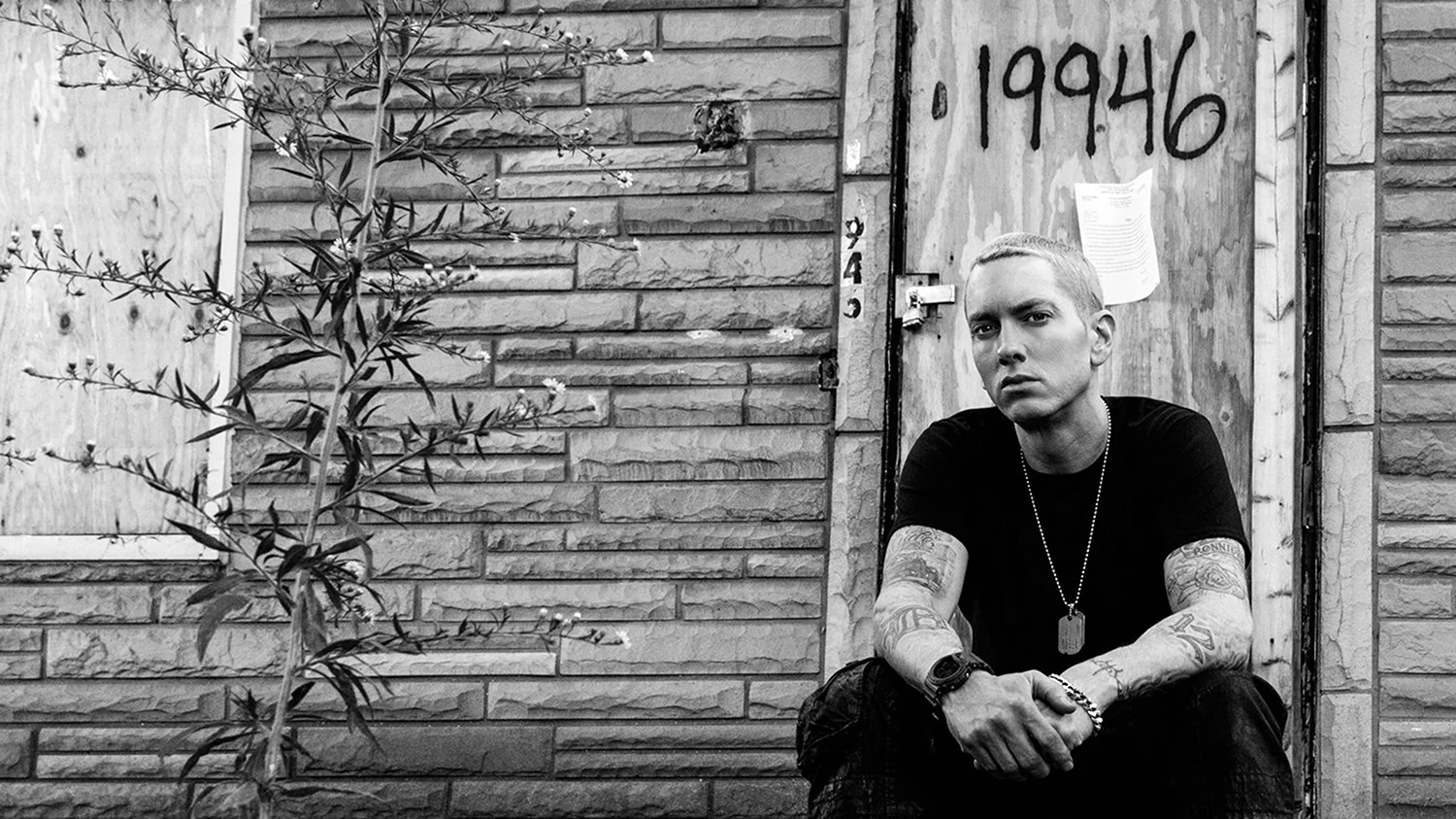 Eminem the Marshall Mathers LP 2
