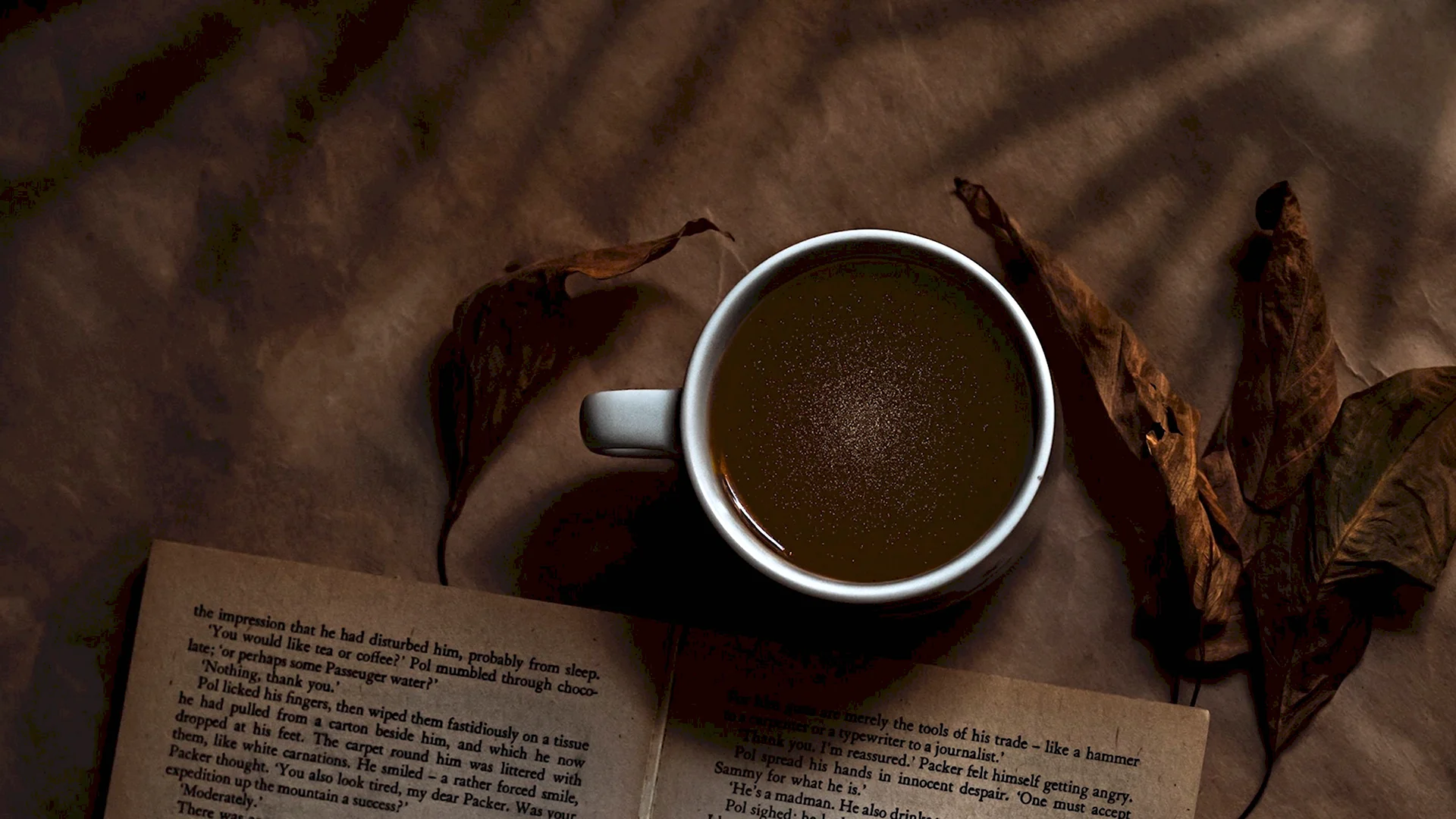 Эстетика книг и кофе