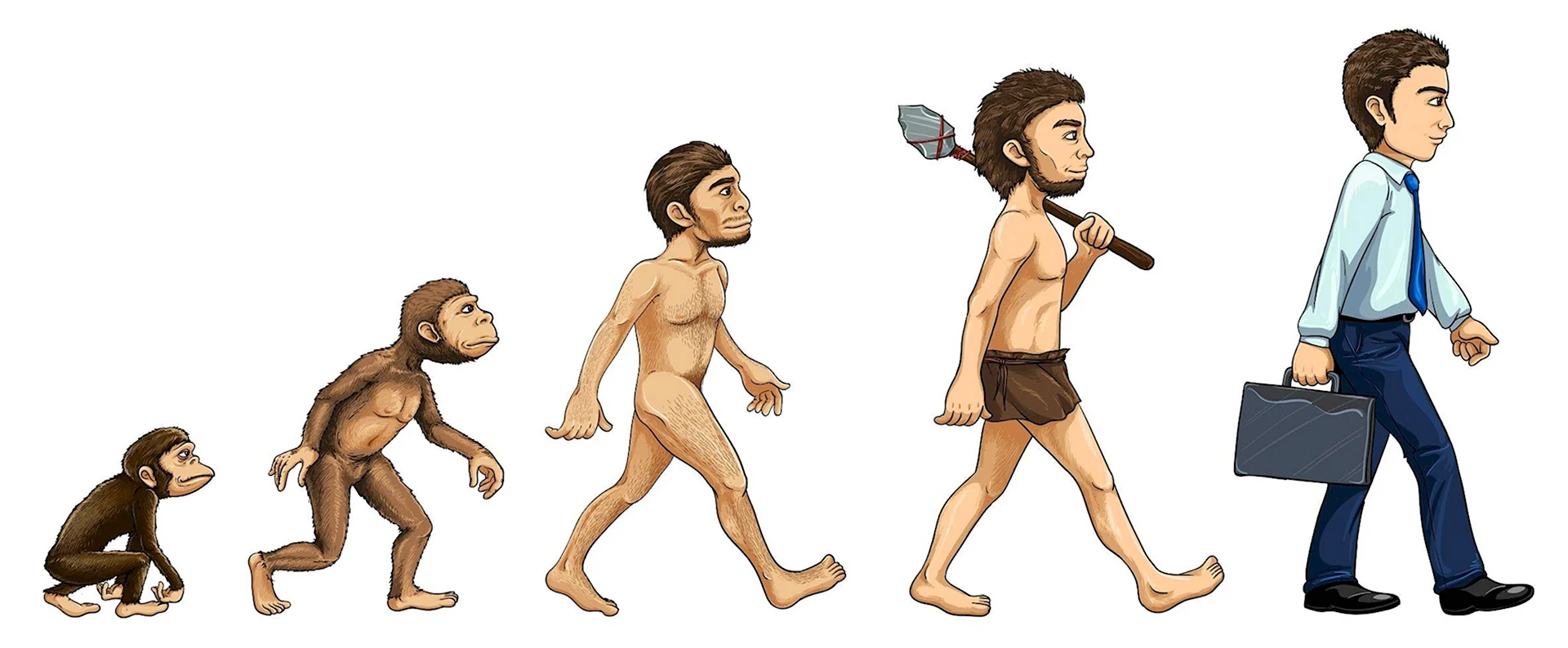 Эволюция из обезьяны в человека
