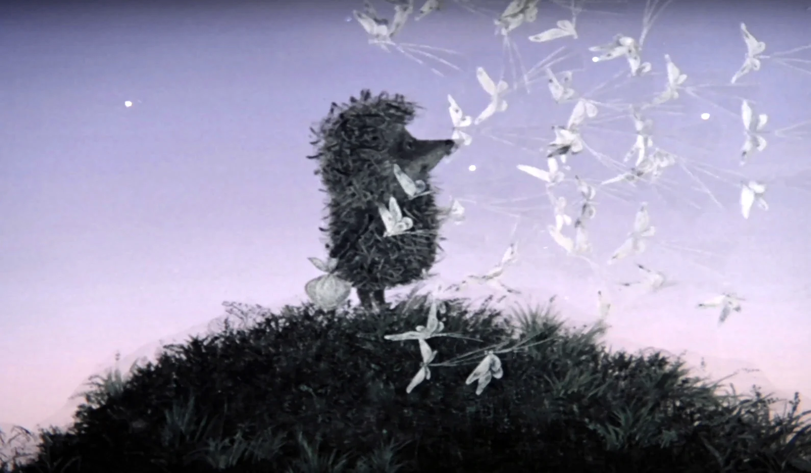 Ежик в тумане мультфильм 1975 кадры