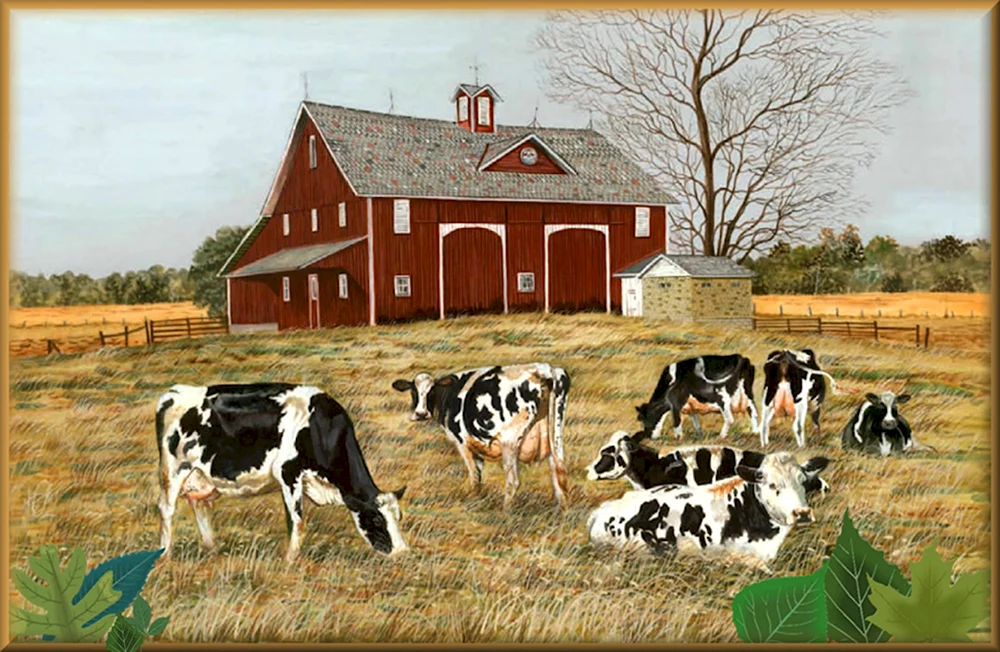 Farmhouse коровы США