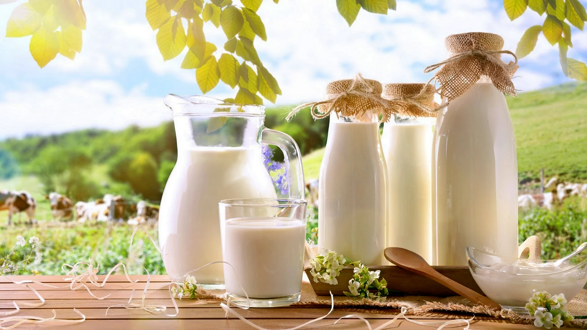 Фермерская молочная продукция баннер
