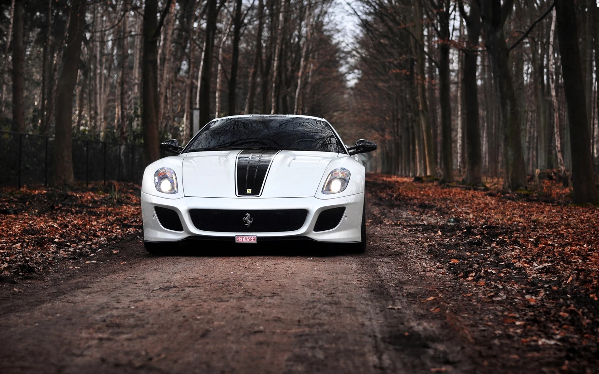 Ferrari 599 White