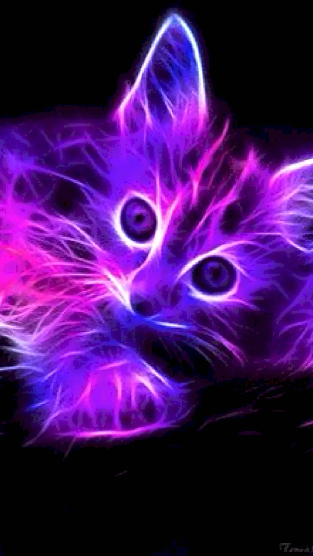 Фиолетовая кошка