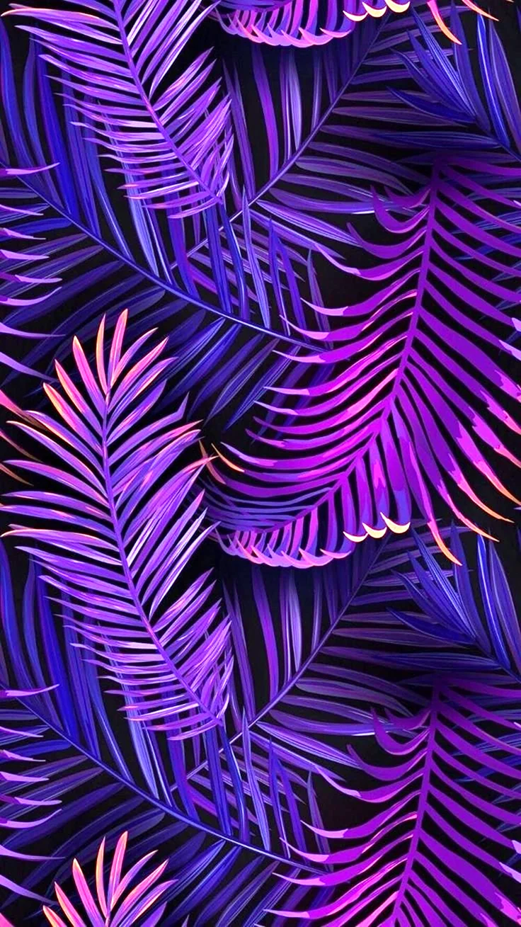 Фиолетовые листья пальмы