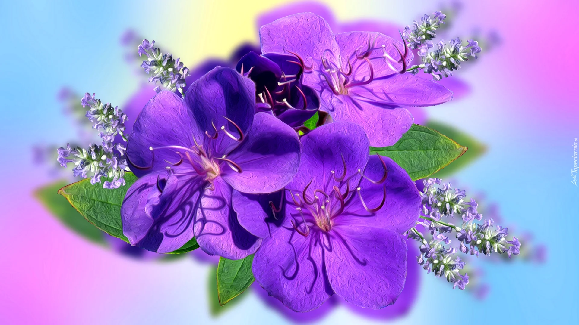 Фиолетовые цветы на прозрачном фоне