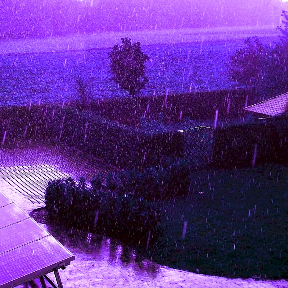 Фиолетовый дождь