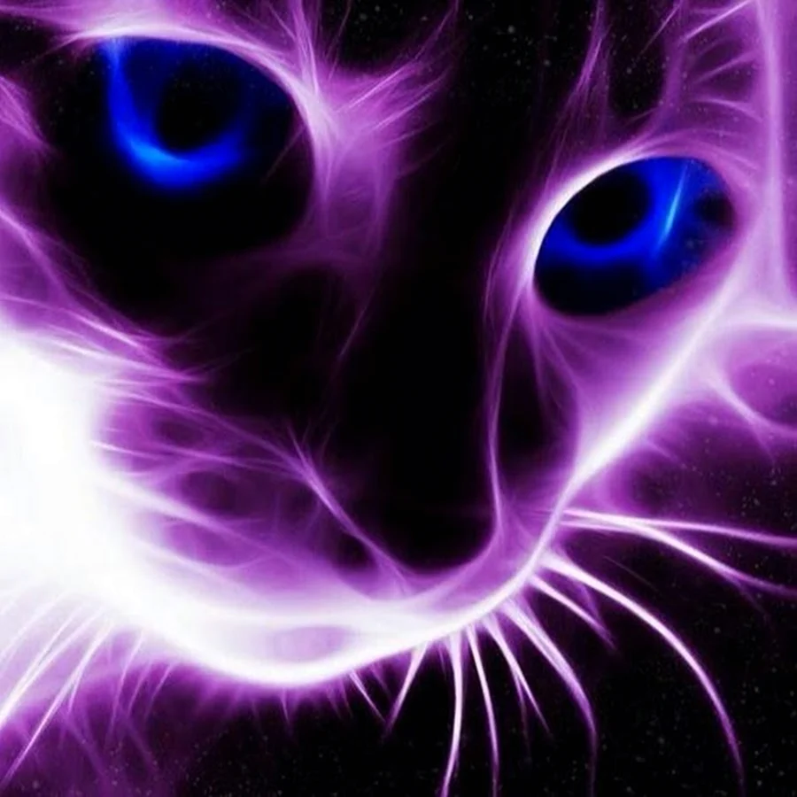 Фиолетовый котик