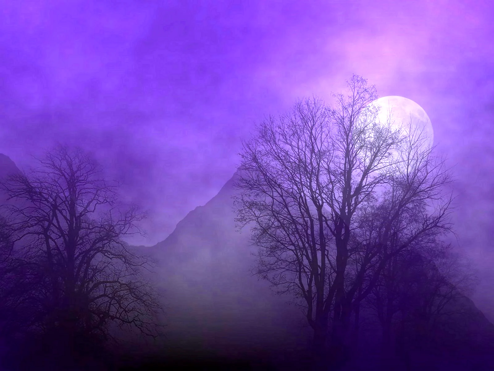 Фиолетовый туман