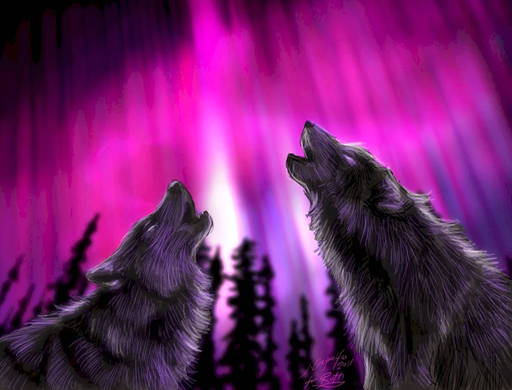 Фиолетовый волк