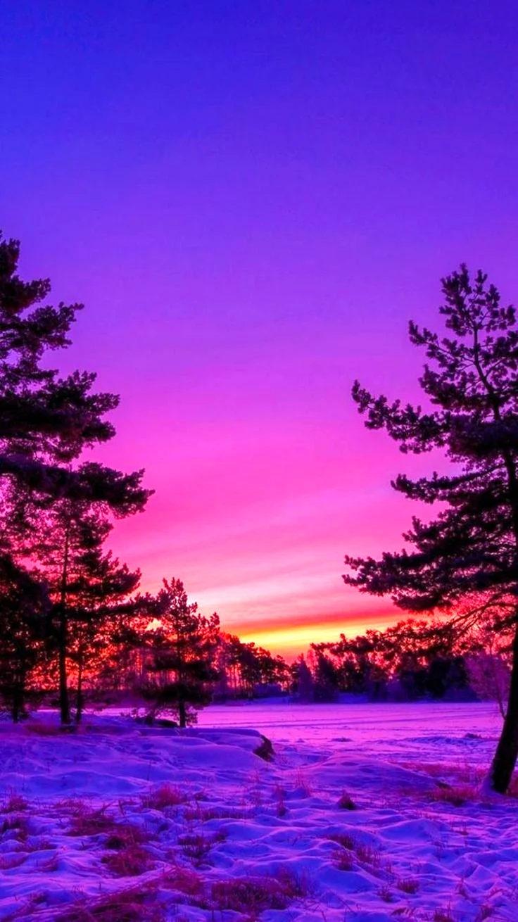 Фиолетовый закат зимой