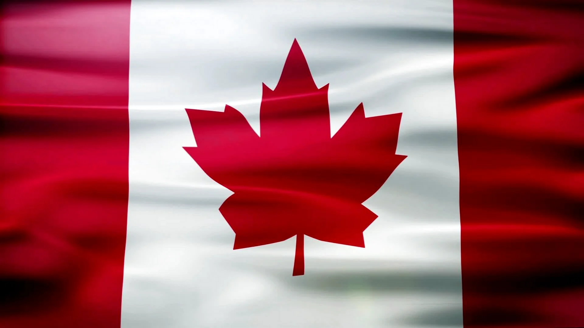 Флаг Канады 4к