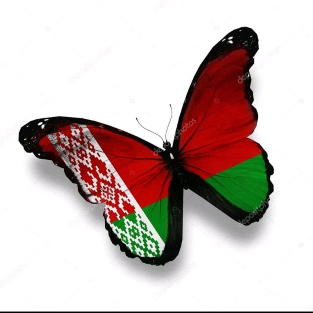 Флаг с бабочкой