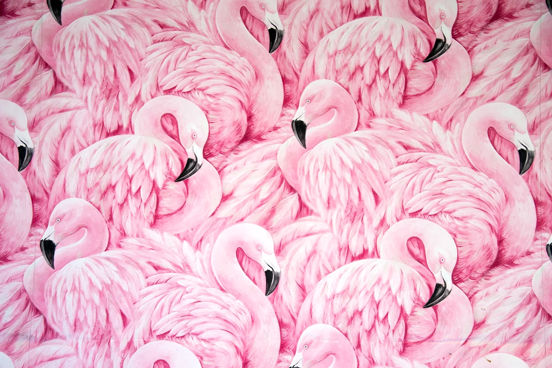 Фламинго арт