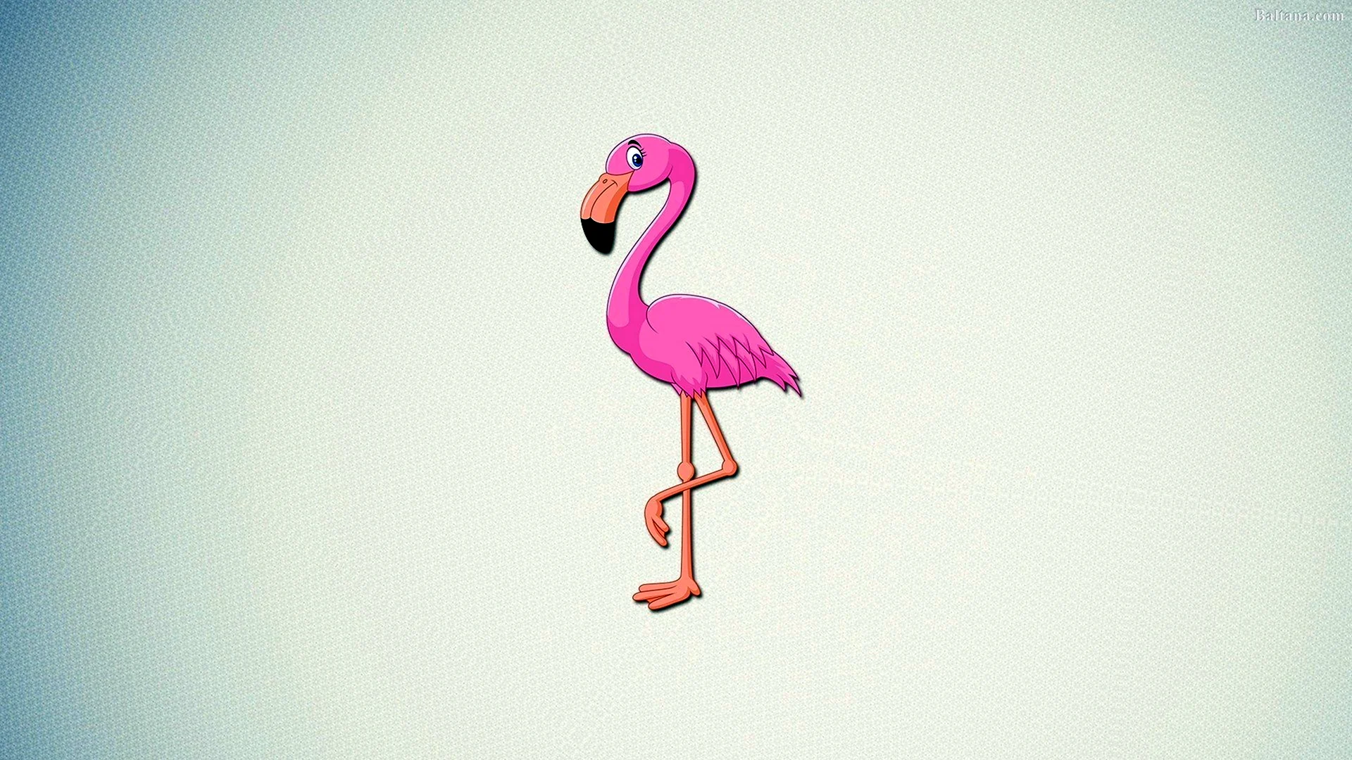 Фон Фламинго