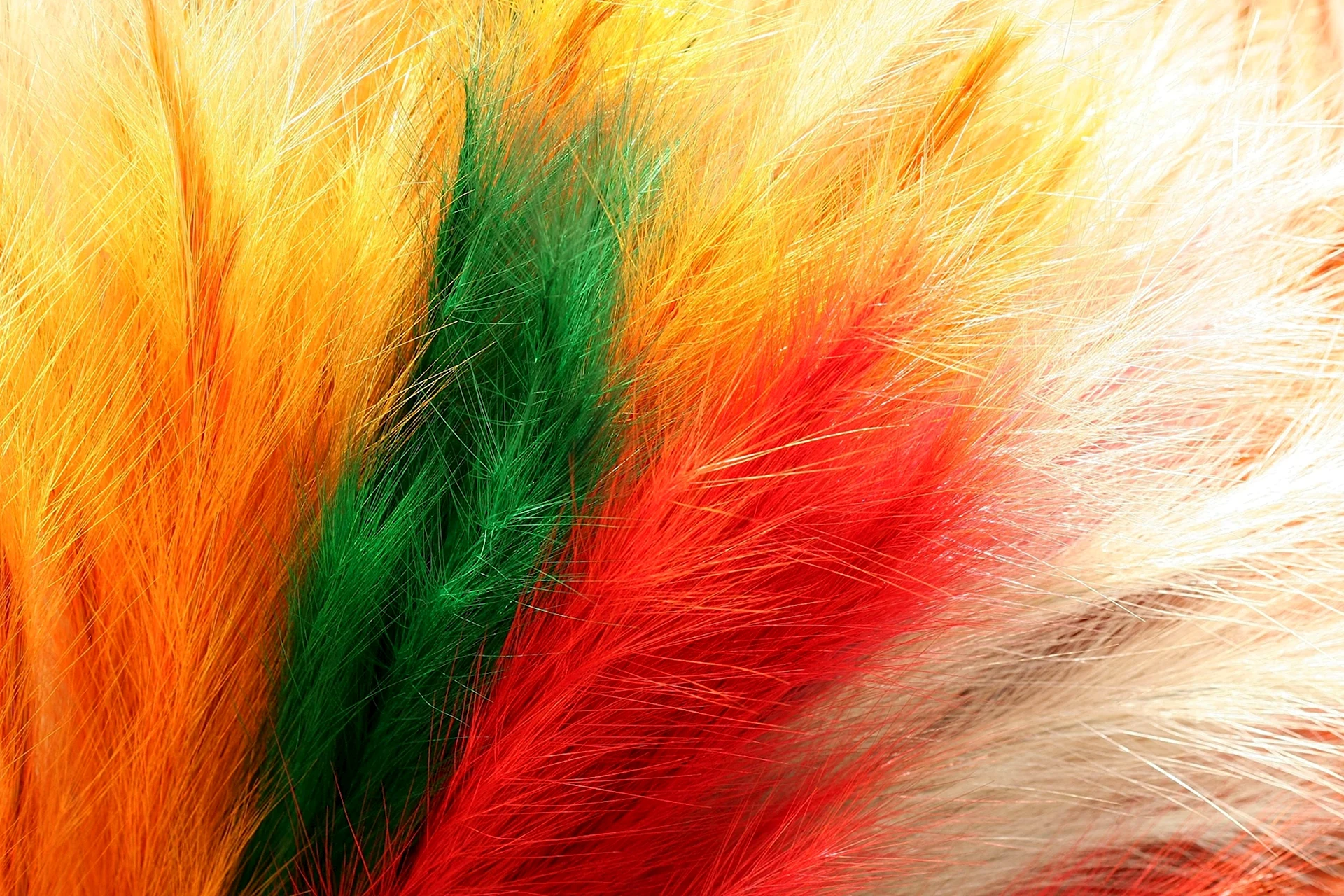 Фон перья разноцветные