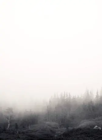 Фон туман