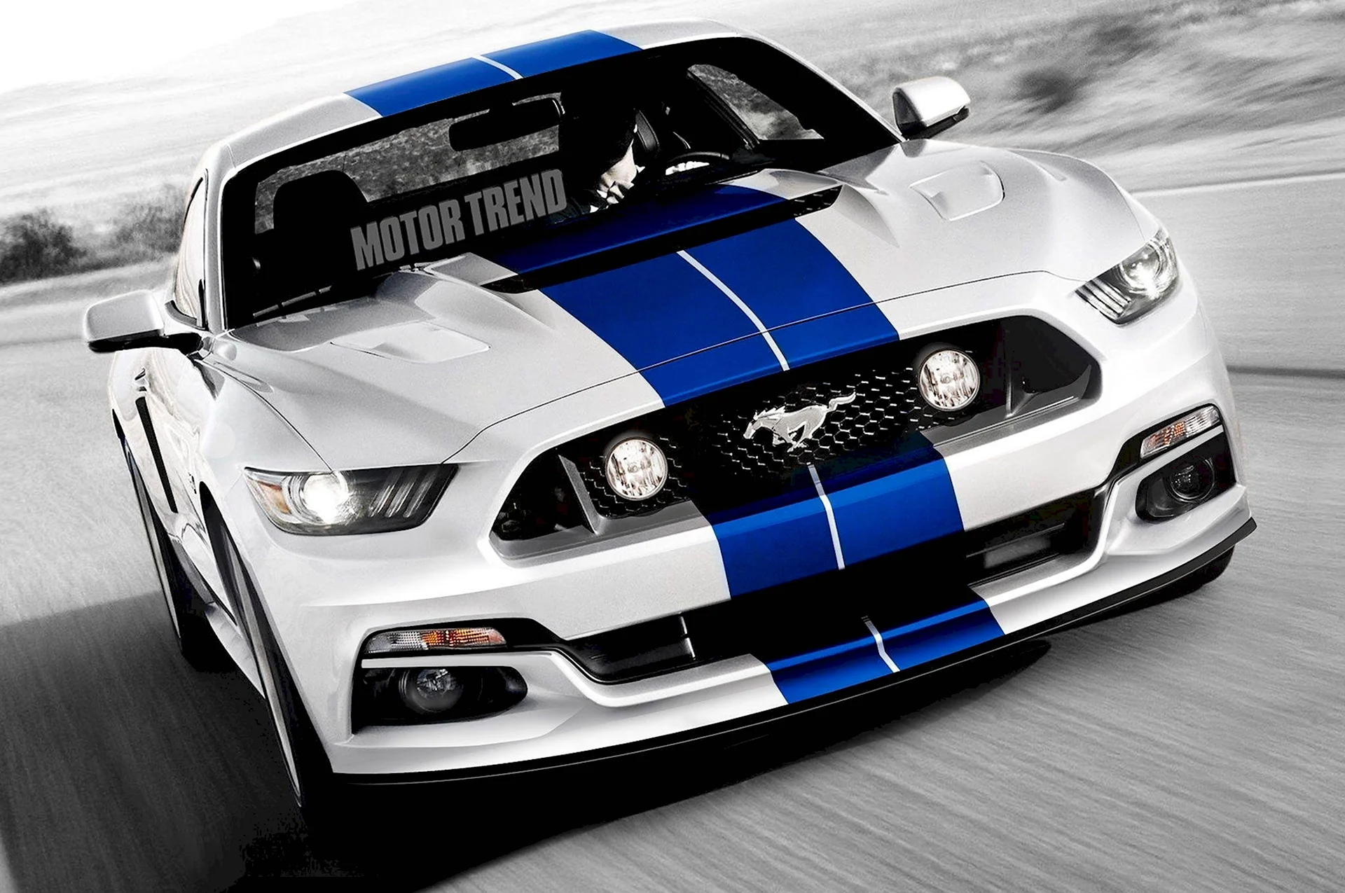 Ford Mustang Shelby gt500 2016