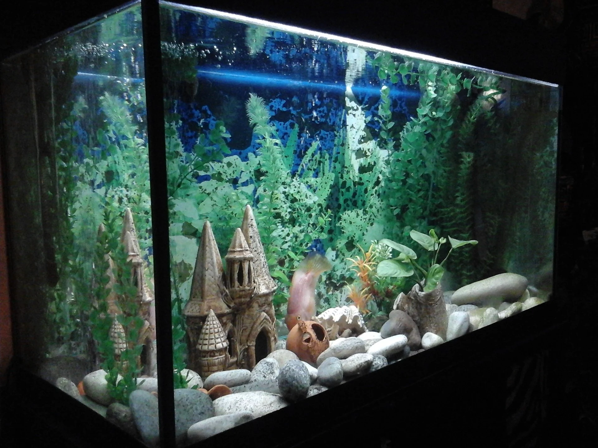 Фотообои для аквариумов маленького размера