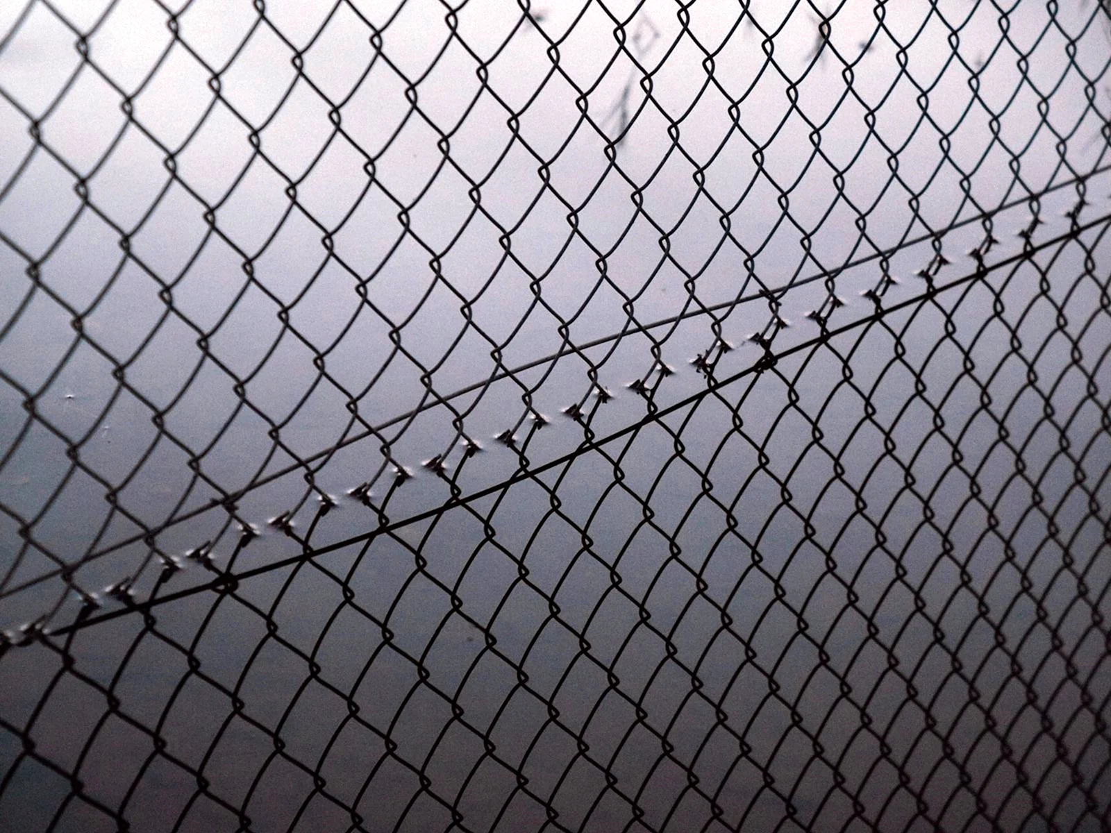 Фотообои забор сетка