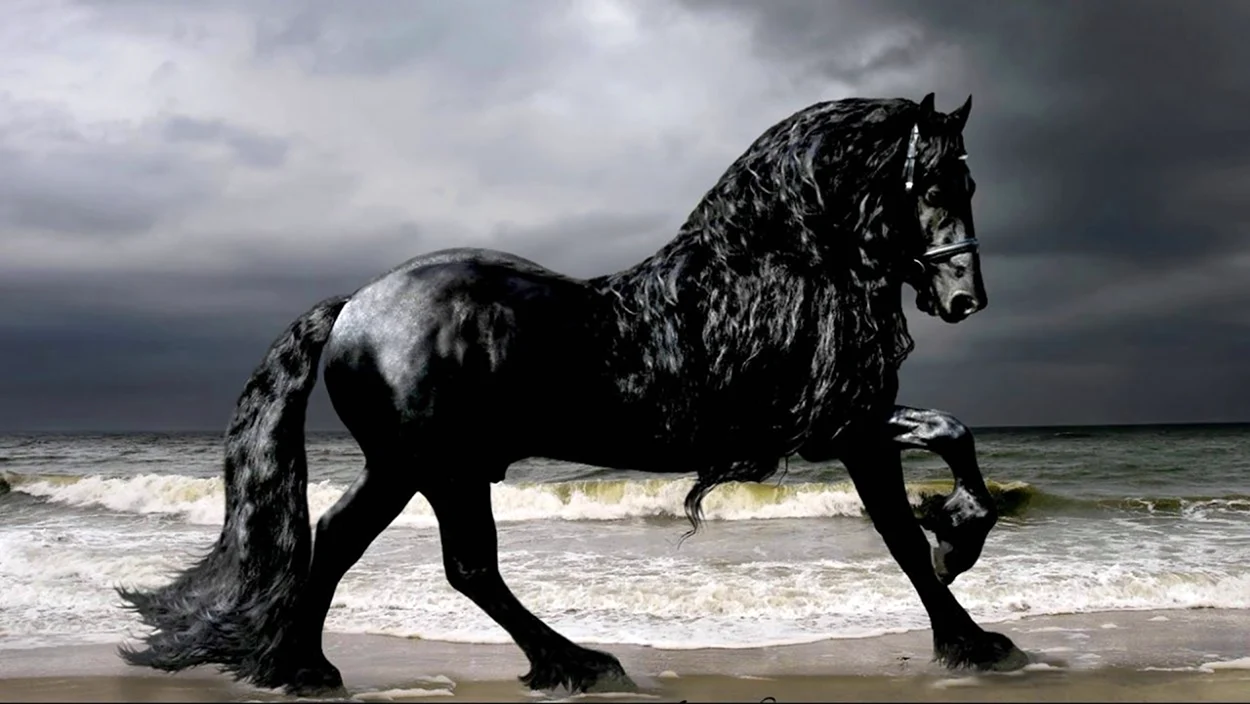 Фридрих Великий самый красивый конь фотомодель в мире