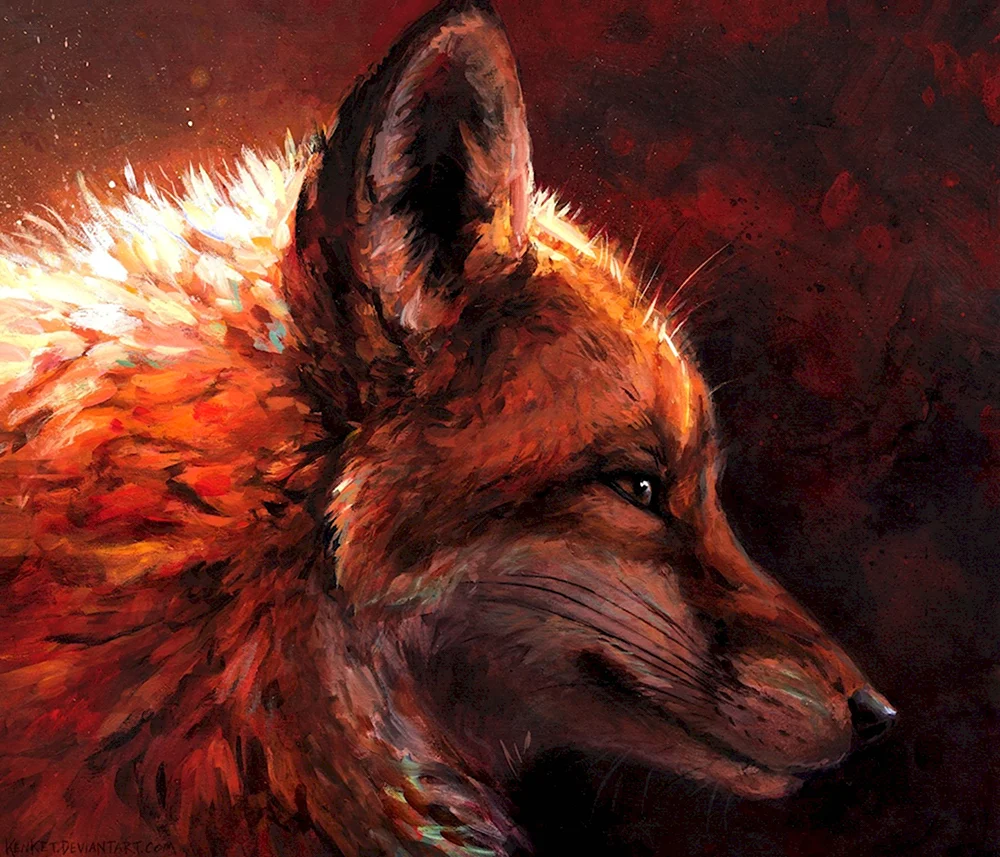 Furry Fox kenket