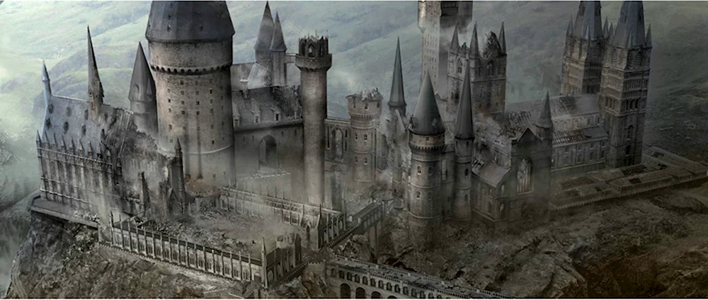Гарри Поттер битва за Хогвартс арт