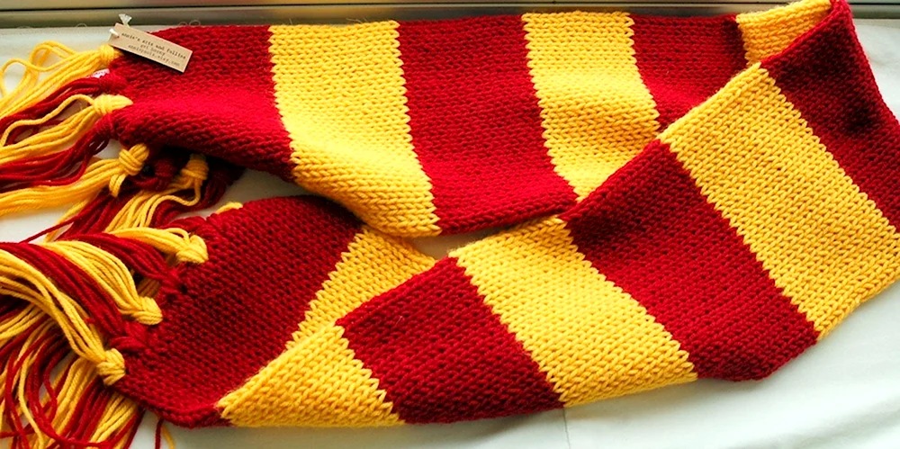 Гарри Поттер в шарфе Гриффиндора