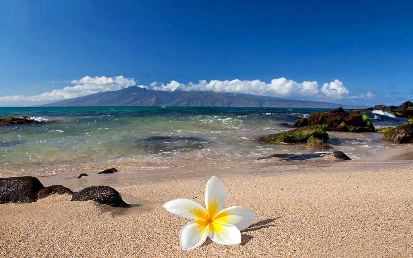 Гавайи побережье