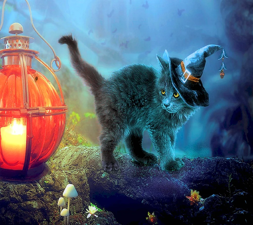 Гобболино – Ведьмин кот