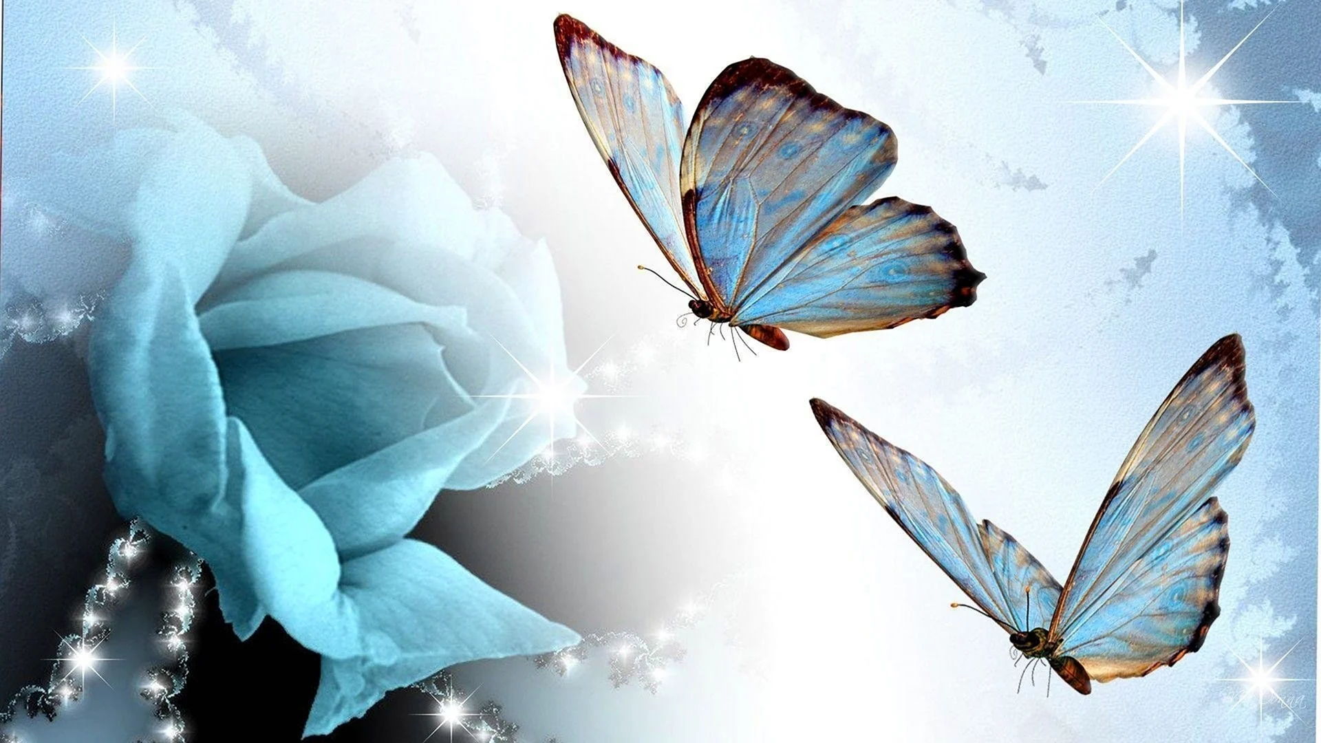 Голубая Артынская бабочка