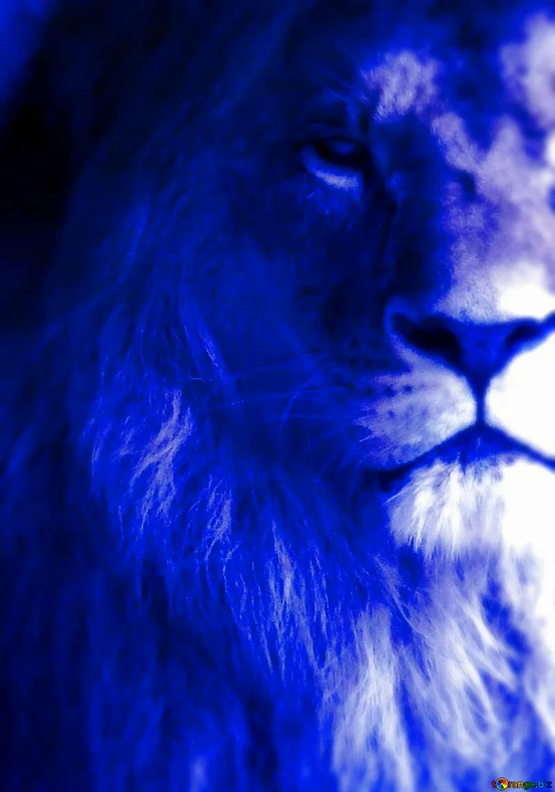 Голубой Лев