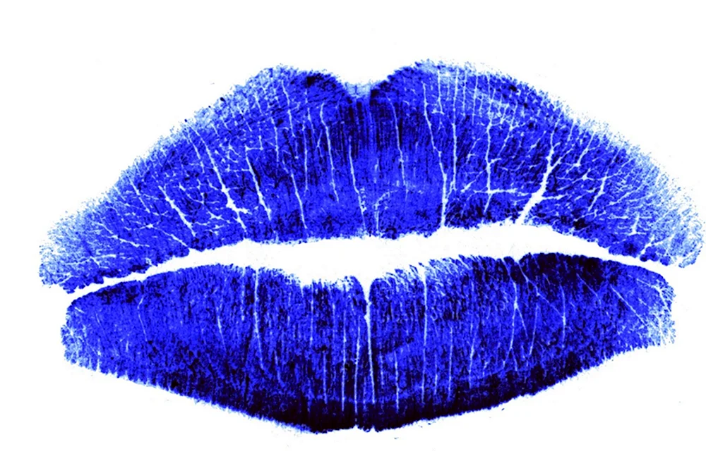 Голубой поцелуй
