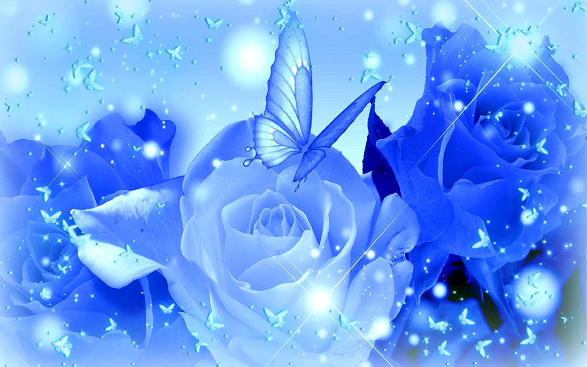 Голубые розы фон